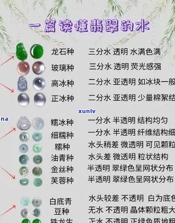 翡翠种水深度解析：从颜色、透明度到种水级别，一网打尽