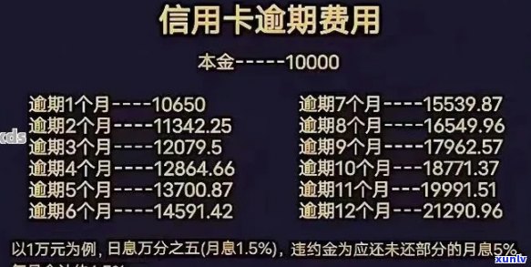 信用卡逾期记录查询与处理全攻略：新规定解读、影响分析及解决方案