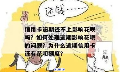 '信用卡花呗逾期还不上怎么办':如何处理信用卡和花呗的逾期问题？