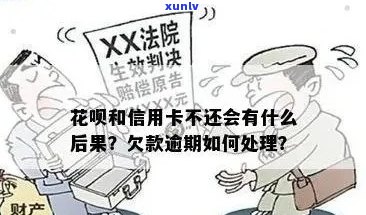 '信用卡花呗逾期还不上怎么办':如何处理信用卡和花呗的逾期问题？