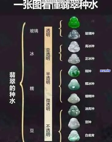 翡翠种水优质特性及其对收藏价值的影响