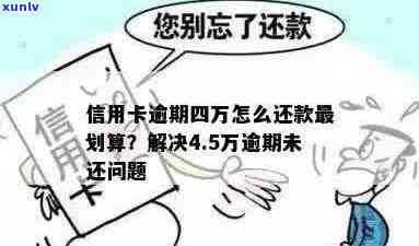 五年逾期未还款的建行信用卡4万额度：原因、后果及解决方案全方位解析