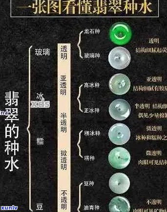 翡翠种水的详细分类：从不同颜色、质地和透明度了解翡翠的品质