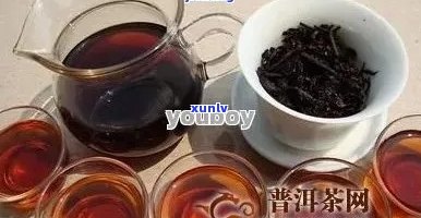 肾病患者是否可以饮用普洱茶及其影响因素分析