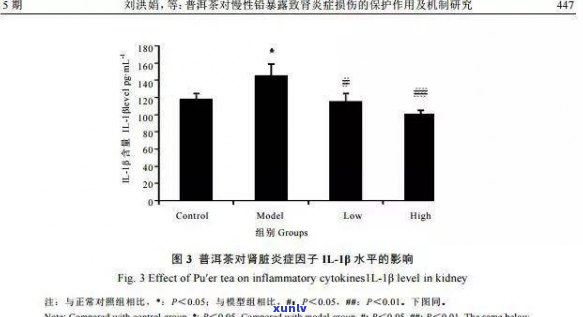 肾病患者是否可以饮用普洱茶及其影响因素分析