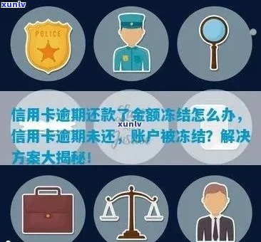 凡普信用卡逾期还款被冻结：如何解决？