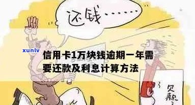 信用卡逾期还款一万的回扣费用计算方式分析