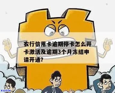 您农行信用卡已逾期3个月怎么处理，请申请开通。