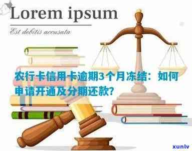 您农行信用卡已逾期3个月怎么处理，请申请开通。