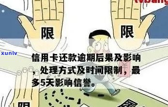 信用卡逾期还款的后果及其对工作的影响：您需要知道的一切