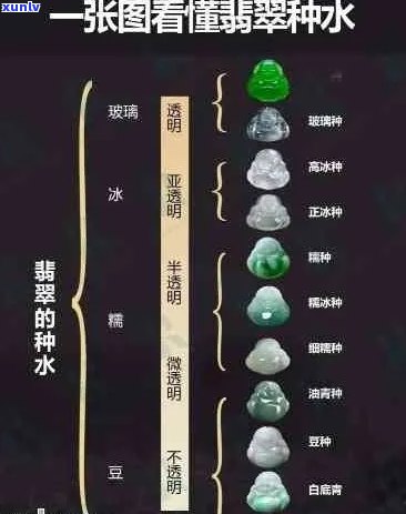 翡翠种水价格对应表：等级划分与价格关联