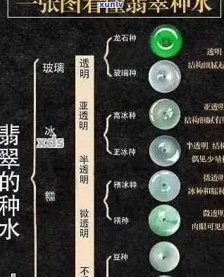 翡翠种水价值排行：专家权威解读，如何挑选高品质翡翠？收藏投资必备指南！