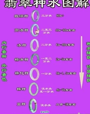 翡翠种水价格详细对照表：了解各种翡翠种水的价格及其特点