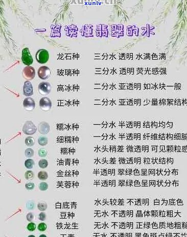 翡翠种水等级划分与价值分析：专业知识与市场趋势探讨