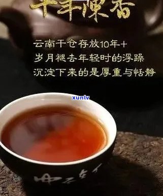 老仓普洱茶：品质与口感的完美结合，品鉴与收藏的理想之选