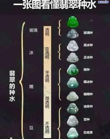 翡翠种水价格表大全，翡翠种水价值对应表