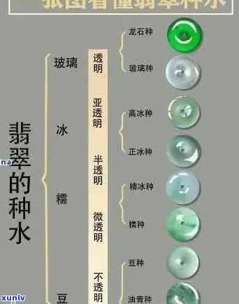 新 翡翠种、水、颜色与价格之间的关系详解表