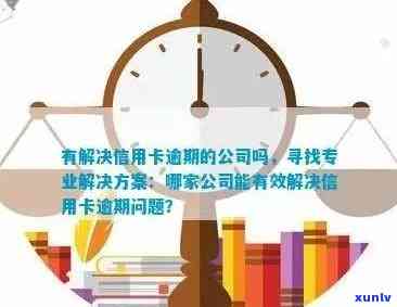 探索信用卡逾期解决方案：哪些公司提供专业服务？