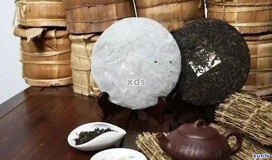 新普洱茶保存期限揭秘：如何正确存普洱茶以保持其品质不变质？