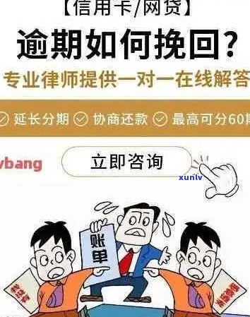 信用卡逾期后如何寻求 *** 贷款平台的解决方案？