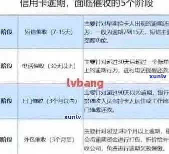 逾期信用卡处理全攻略：如何解决多卡逾期记录问题