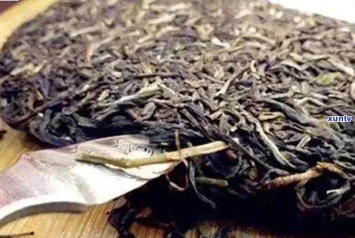 多美普洱茶的全面介绍：品种、产地、 *** 工艺、口感、功效及选购指南