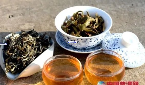 '多美普洱茶饮搭配指南：如何地享受这款茶的醇厚口感'