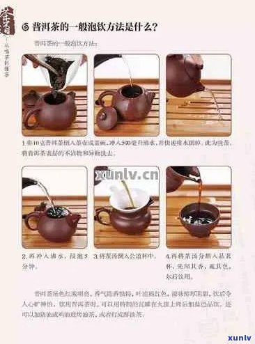 多美普洱茶的正确冲泡与品鉴 *** ：新手必备指南