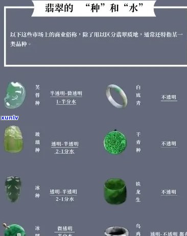 全面解析翡翠种水价格：从优质到劣质的详细排名表