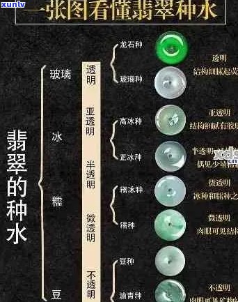 全面解析翡翠种水价格：从优质到劣质的详细排名表