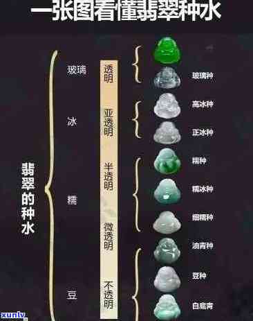 翡翠种水价格对照表：全面了解翡翠种水等级与市场价格关系