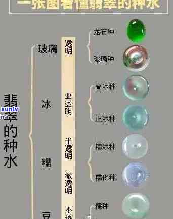 翡翠种水价格排行前十名：最新、对应表一览