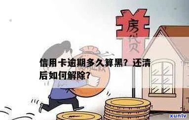 信用卡逾期黑户：还款后多久能解除？