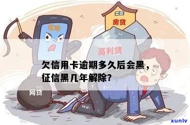 信用卡逾期黑户：还款后多久能解除？