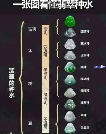 翡翠种水价格对照表：全方位指南与解析