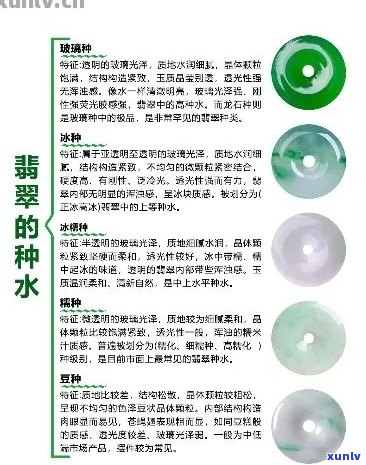 翡翠种水价格对照表：全方位指南与解析