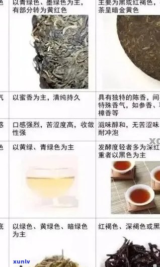 普洱茶贴标：如何选择、品质鉴别、泡法与品鉴，一份全面的指南