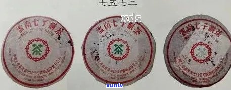 普洱茶编号的含义、种类与选购技巧：一篇全面指南