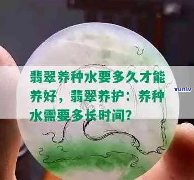 翡翠种植过程中水质变化对种水的影响及改善 *** 全面解析