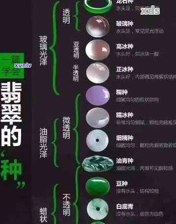 翡翠种植过程中水质变化对种水的影响及改善 *** 全面解析