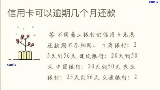 信用卡逾期声明还款指南：逾期后如何处理及还款 *** 