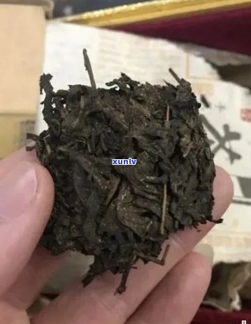 普洱茶届的五朵金花