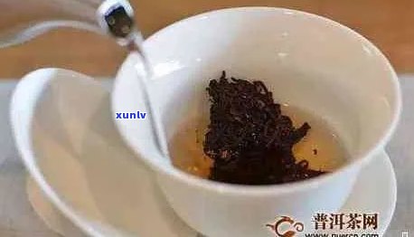 普洱茶冲泡的投放量：如何控制才能品味？