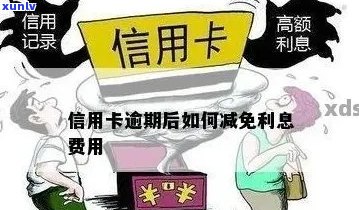 信用卡逾期免息挂账：如何更大限度地利用这一优？