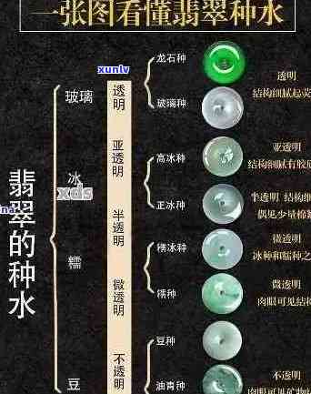 新翡翠种水类型解析：哪几种类型最适合你？