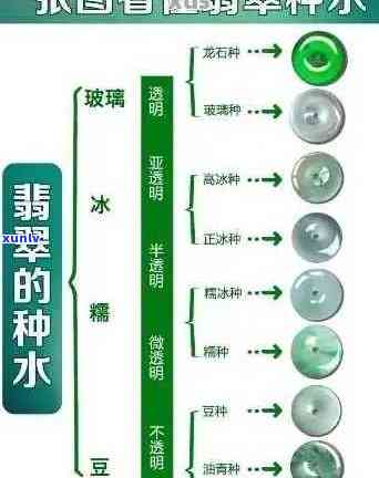 翡翠种水等级划分：全面解析翡翠品质与价值的关键因素