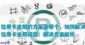 重组解决信用卡逾期案例有哪些类型与问题？