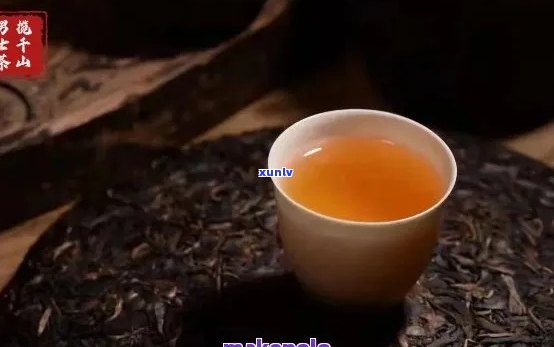 墨江普洱茶的特征与味道：云南墨江普洱茶怎么样？墨江县普洱茶的特点。