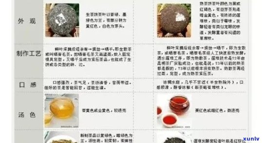 全面解析：天福普洱茶品质、口感、功效及泡法，助您选购与品鉴