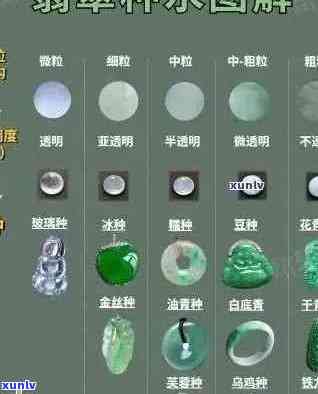 翡翠种水名称全面解析：从种水特征到选购指南一应俱全